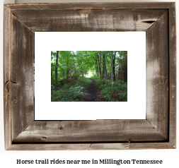 horse trail rides near me in Millington, Tennessee